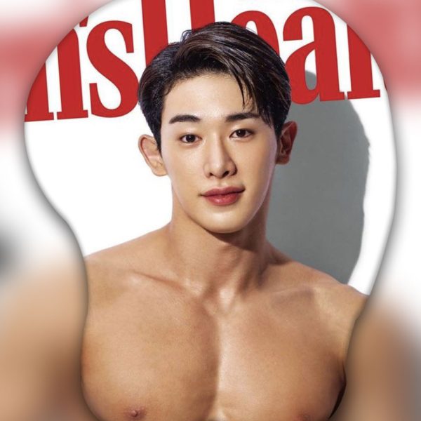 ウォノ 3D おっぱいマウスパッド